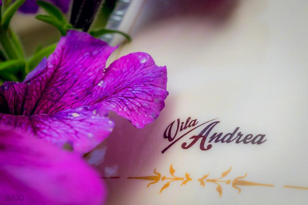 Motel Vila Andrea Sarajevo Eksteriør bilde